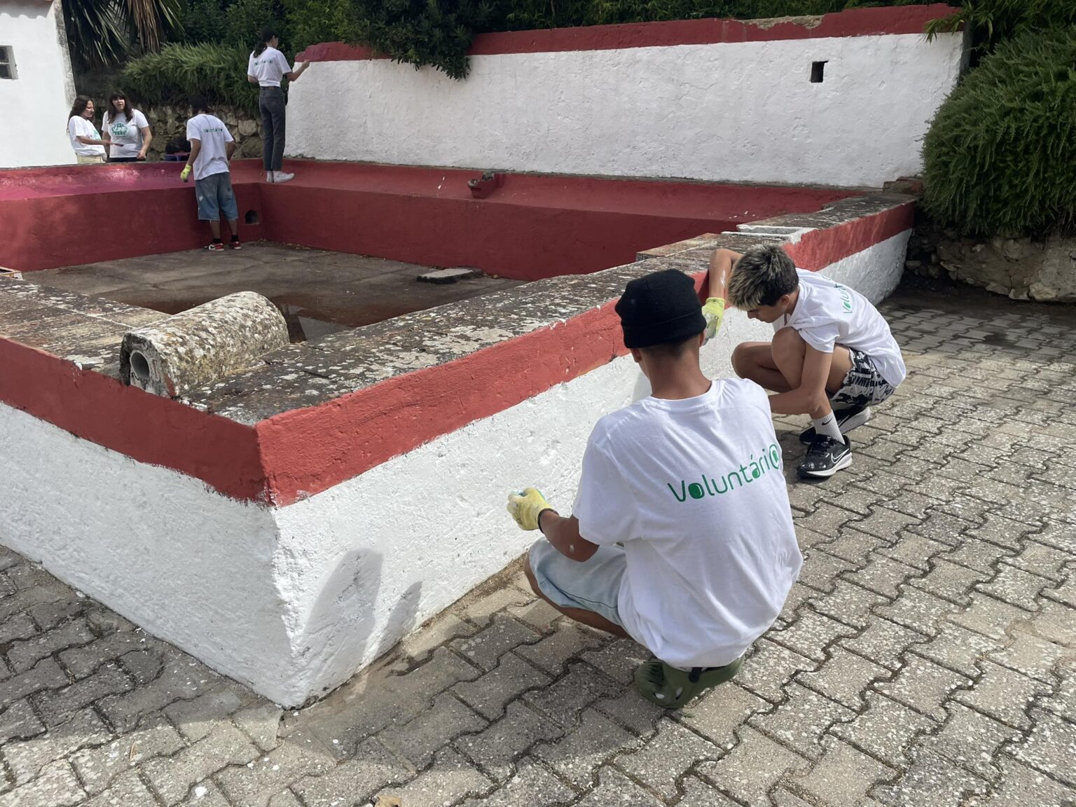 Dois jovens pintam um murete de branco e bordô.
